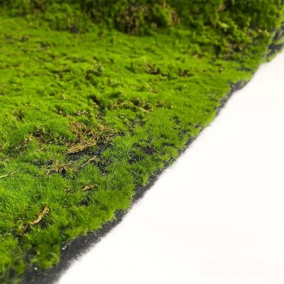 Искусственный мох в рулоне. Дизайн MPA06381